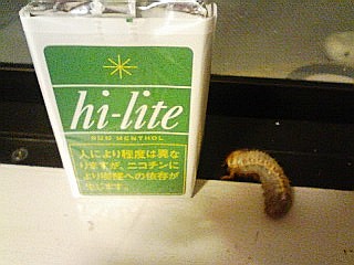 071005_2050~01.jpg