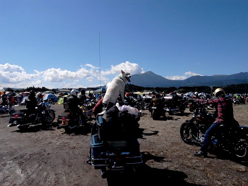 resize1264.jpg