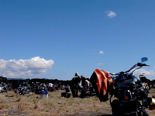 resize1268.jpg
