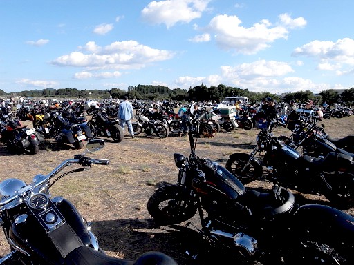 resize1270.jpg
